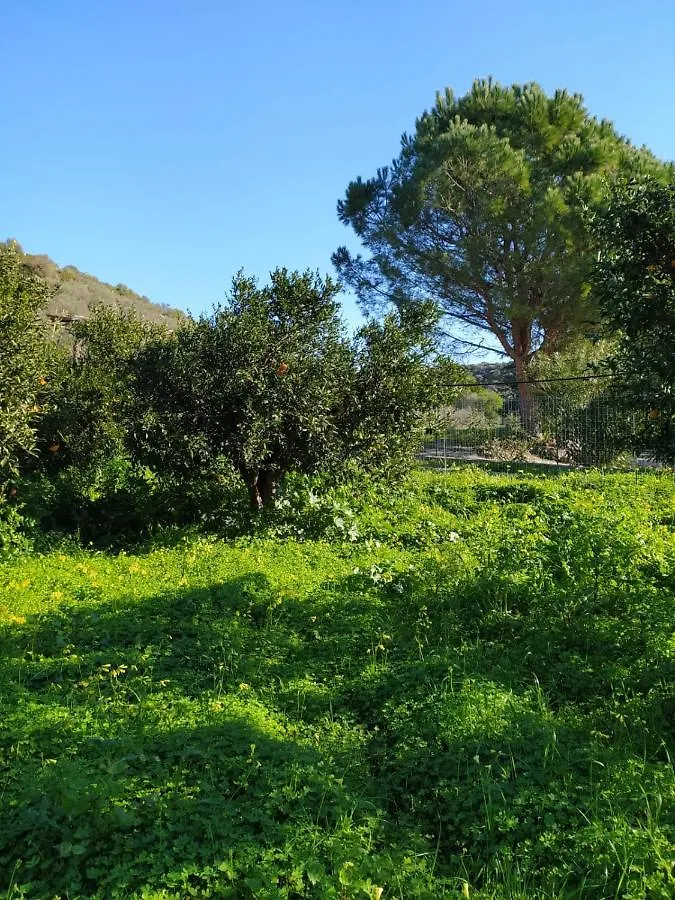 Apartamento Residenza Maria Antonia - Country House Orosei